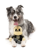 Load image into Gallery viewer, FuzzYard Arthur-itis Skeleton Halloween Dog Toy
