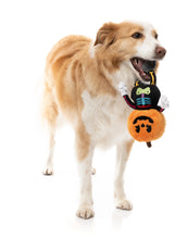 Load image into Gallery viewer, FuzzYard Boo-Ternut Halloween Dog Toy
