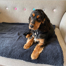 Load image into Gallery viewer, Luxury Sherpa Fleece Dog Blanket
