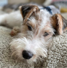 Load image into Gallery viewer, Luxury Sherpa Fleece Dog Blanket
