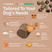 Load image into Gallery viewer, Skin &amp; Coat Treats
