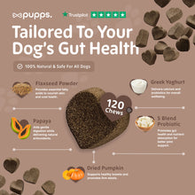 Load image into Gallery viewer, Pupps Pre &amp; Probiotic Dog Treats – Digestive Health Support
