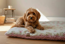 Load image into Gallery viewer, The Dolly Floral Collection – Double-Sided Pillow Bed &amp; Crate Cushion
