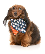 Load image into Gallery viewer, Dog wearing FuzzYard That’s the Spirit bandana
