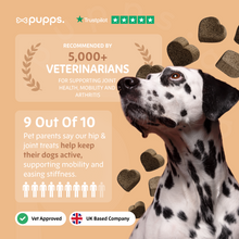 Load image into Gallery viewer, Hip &amp; Joint Treats
