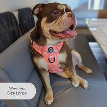 Load image into Gallery viewer, Peachy Hearts ‘Rugged Rover’ No-Pull Dog Harness – PupClub Couture
