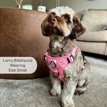 Load image into Gallery viewer, Peachy Hearts ‘Rugged Rover’ No-Pull Dog Harness – PupClub Couture
