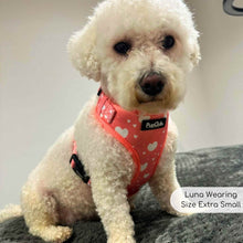 Load image into Gallery viewer, Peachy Hearts Adjustable Dog Harness – PupClub Couture
