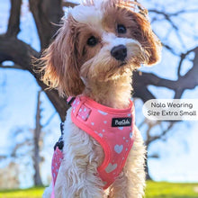 Load image into Gallery viewer, Peachy Hearts Adjustable Dog Harness – PupClub Couture

