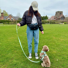 Load image into Gallery viewer, PupClub Couture Dog Walking Bum Bag – Black
