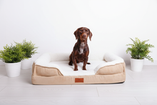 Load image into Gallery viewer, The Belgravia Orthopaedic Dog Sofa™ - Medium
