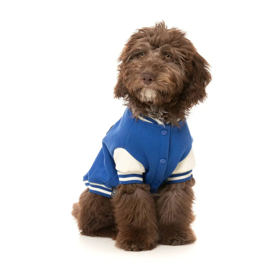FuzzYard Letterman Dog Jacket – Retro Varsity Style Coat with Patches