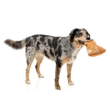 Load image into Gallery viewer, FuzzYard | Dogg Boot – Dog Toy
