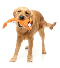 Load image into Gallery viewer, Dog playing with FuzzYard Yeetz Farewell Fox stuffing-free plush dog toy

