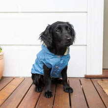 Load image into Gallery viewer, FuzzYard Life Dog Raincoat – Sophisticated Waterproof Coat (French Blue)
