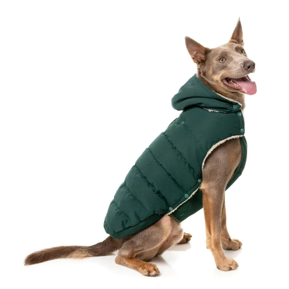 FuzzYard Essential Dog Puffer Jacket – Teddy Lined Coat with Removable Hood (Forest Green)