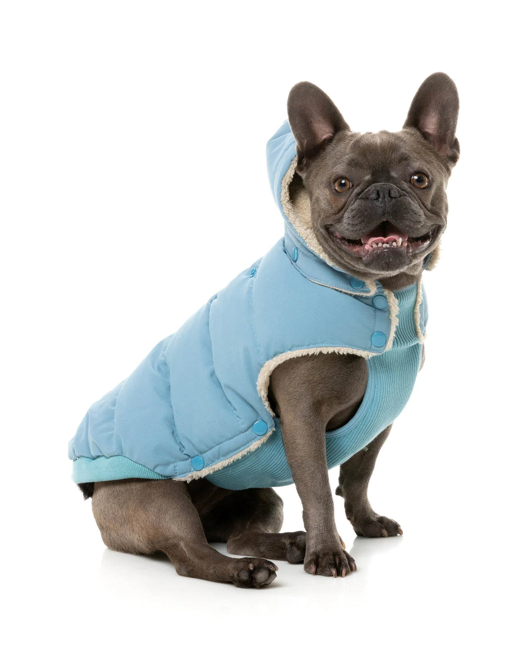 FuzzYard Essential Dog Puffer Jacket – Teddy Lined Coat with Removable Hood (Blue)