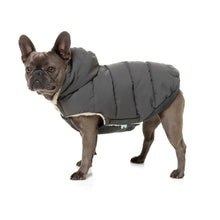 Load image into Gallery viewer, FuzzYard Essential Dog Puffer Jacket – Teddy Lined Coat with Removable Hood (Charcoal)
