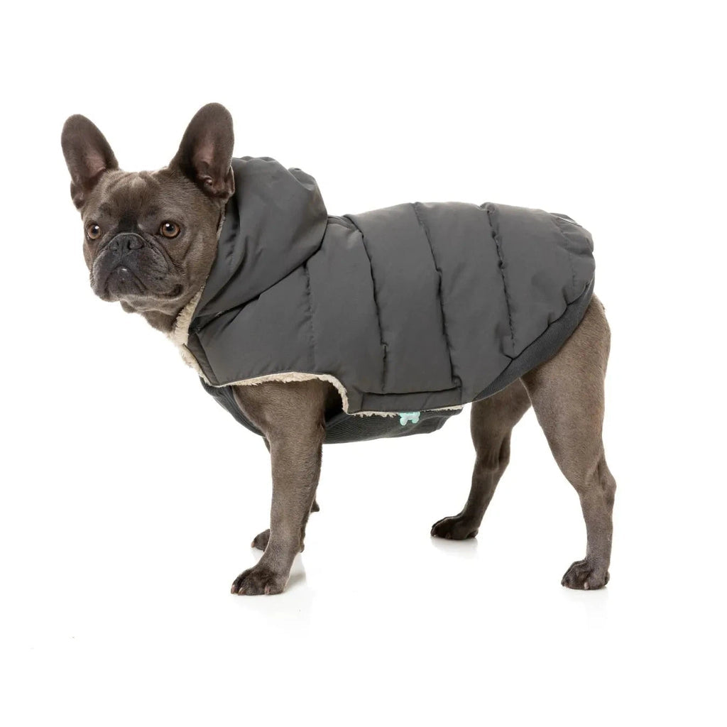 FuzzYard Essential Dog Puffer Jacket – Teddy Lined Coat with Removable Hood (Charcoal)