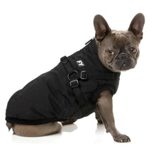 Load image into Gallery viewer, FuzzYard Flash Dog Jacket – 2-in-1 Harness Coat with Teddy Lining (Black)
