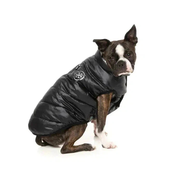 FuzzYard Hakuba Dog Puffer Jacket – Warm Lightweight Coat (Black)