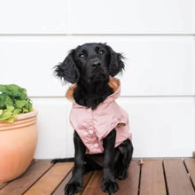 Load image into Gallery viewer, FuzzYard Life Dog Raincoat – Sophisticated Waterproof Coat (Soft Blush)
