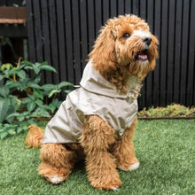 Load image into Gallery viewer, FuzzYard Life Dog Raincoat – Sophisticated Waterproof Coat (Sandstone)
