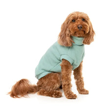 Load image into Gallery viewer, FuzzYard Stevie Dog Sweater 24 – Cotton Turtle Neck Pullover (Mint)
