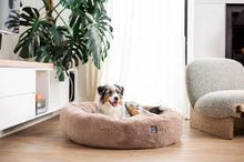 Load image into Gallery viewer, Collie sitting comfortably in Dreameazzzzy Chai dog bed by FuzzYard
