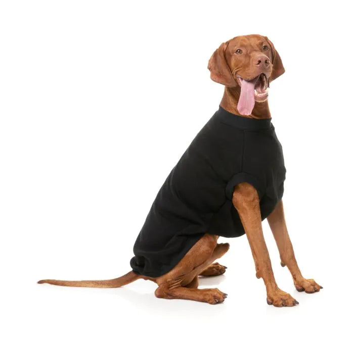 FuzzYard Allday 24 Dog Sweater - Black