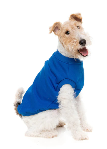 FuzzYard Allday 24 Dog Sweater - Blue