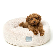 Load image into Gallery viewer, Dog relaxing in a winter cream FuzzYard Dreameazzzy Cuddler Dog Bed
