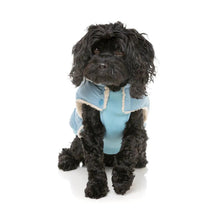 Load image into Gallery viewer, Black Dog wearing the Fuzzyard Essentials blue puffer jacket with detachable hood while sitting facing forward.
