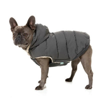 Load image into Gallery viewer, French Bulldog standing in a side view wearing the Fuzzyard Essentials charcoal puffer jacket with detachable hood.
