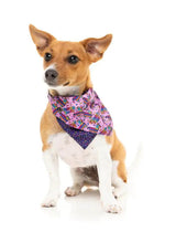 Load image into Gallery viewer, FuzzYard Fiesta Dog &amp; Cat Bandana – Reversible
