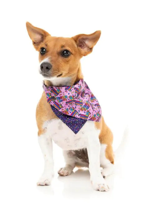 FuzzYard Fiesta Dog & Cat Bandana – Reversible