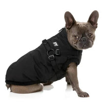 Load image into Gallery viewer, French Bulldog sitting and wearing the FuzzYard Flash Dog Jacket in black, showing adjustable harness straps and zipped back.
