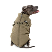 Load image into Gallery viewer, Medium dog wearing the FuzzYard Flash Dog Jacket in khaki, showing the 2-in-1 built-in harness straps and back zipper.
