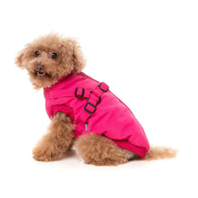 Load image into Gallery viewer, Small fluffy dog wearing the FuzzYard Flash Dog Jacket in magenta, showing the 2-in-1 harness coat design while sitting and looking back.
