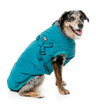 Load image into Gallery viewer, Medium dog wearing the FuzzYard Flash Dog Jacket in teal, showing the back zipper and integrated harness D-rings.
