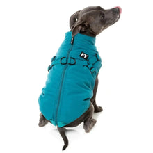 Load image into Gallery viewer, Large dog sitting and wearing the FuzzYard Flash Dog Jacket in teal, showing the 2-in-1 harness coat design.

