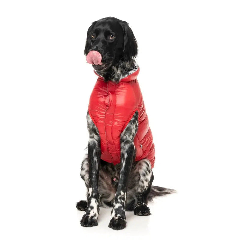 FuzzYard Hakuba Dog Puffer Jacket – Warm Lightweight Coat - Red