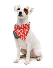 Load image into Gallery viewer, FuzzYard Holly Jolly Cookies Dog Bow Tie &amp; Bandana Set (2 Pack)

