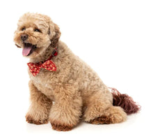 Load image into Gallery viewer, FuzzYard Holly Jolly Cookies Dog Bow Tie &amp; Bandana Set (2 Pack)
