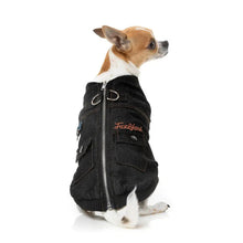 Load image into Gallery viewer, Small dog wearing the black FuzzYard Kojima denim dog jacket, rear view highlighting pockets and zip.
