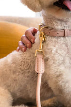 Load image into Gallery viewer, Fuzzyard Life Atelier Dog Rope Lead – Soft Blush
