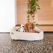 Load image into Gallery viewer, Dog relaxing in FuzzYard Life corduroy dog bed in Sandstone

