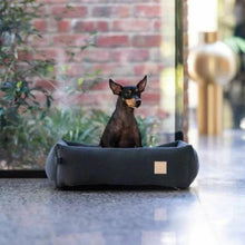 Load image into Gallery viewer, Dog resting comfortably in Slate Grey FuzzYard Life corduroy dog bed
