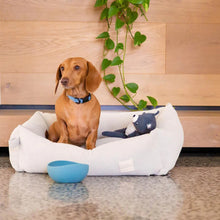 Load image into Gallery viewer, Luxury Cotton Bolster Pet Bed – Removable Washable Cover | FuzzYard Life
