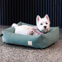Load image into Gallery viewer, Dog relaxing in FuzzYard Life cotton dog bed in Myrtle Green
